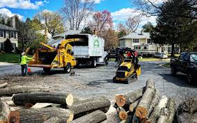 Grass Overseeding in Yorkville, IL